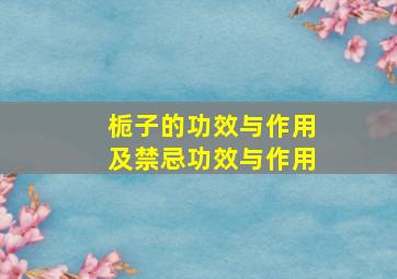 栀子的功效与作用及禁忌功效与作用