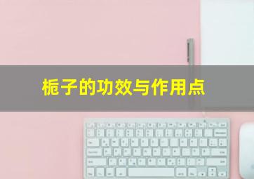 栀子的功效与作用点