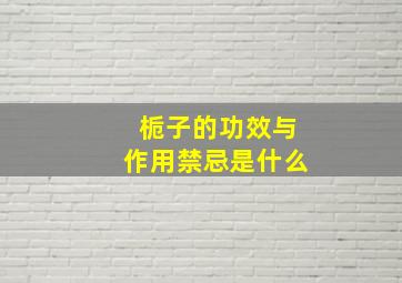 栀子的功效与作用禁忌是什么