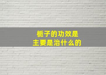 栀子的功效是主要是治什么的