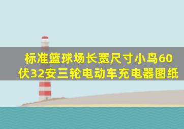 标准篮球场长宽尺寸小鸟60伏32安三轮电动车充电器图纸