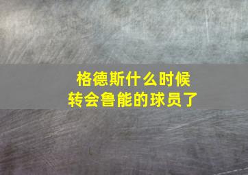 格德斯什么时候转会鲁能的球员了