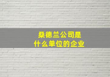 桑德兰公司是什么单位的企业