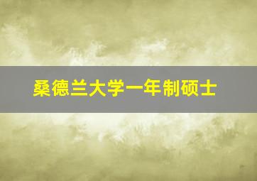 桑德兰大学一年制硕士