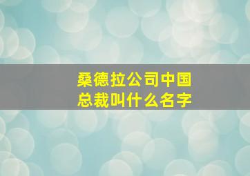 桑德拉公司中国总裁叫什么名字