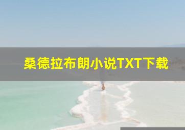 桑德拉布朗小说TXT下载