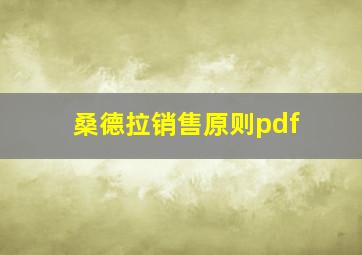 桑德拉销售原则pdf