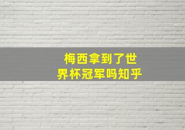 梅西拿到了世界杯冠军吗知乎