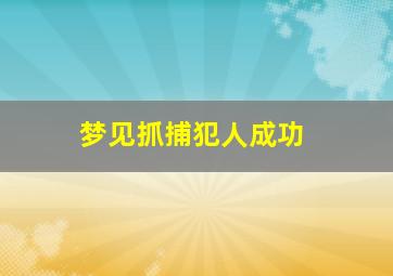 梦见抓捕犯人成功