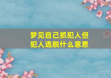 梦见自己抓犯人但犯人逃脱什么意思