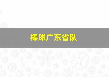 棒球广东省队