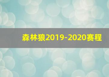 森林狼2019-2020赛程