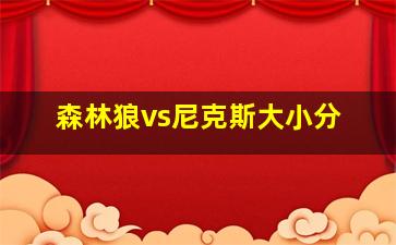 森林狼vs尼克斯大小分