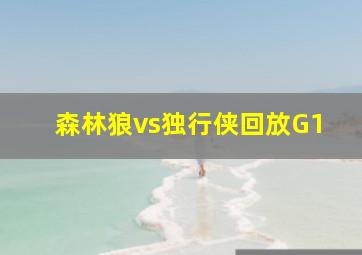 森林狼vs独行侠回放G1