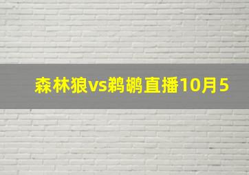 森林狼vs鹈鹕直播10月5