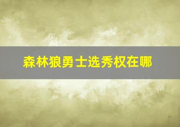 森林狼勇士选秀权在哪