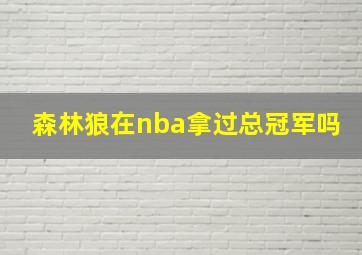 森林狼在nba拿过总冠军吗