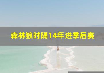 森林狼时隔14年进季后赛