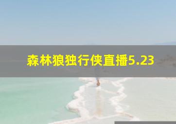 森林狼独行侠直播5.23