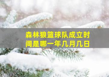 森林狼篮球队成立时间是哪一年几月几日