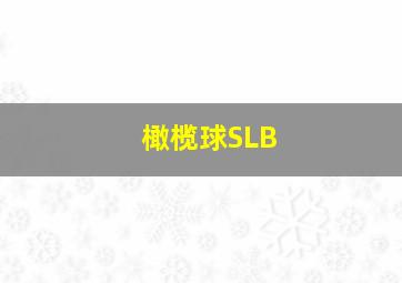 橄榄球SLB