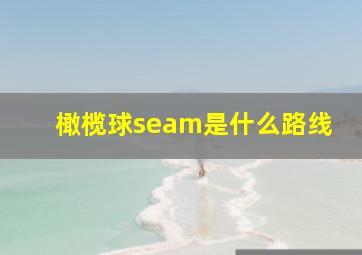 橄榄球seam是什么路线