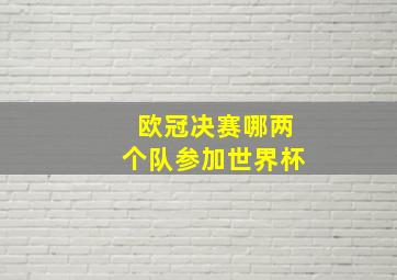 欧冠决赛哪两个队参加世界杯