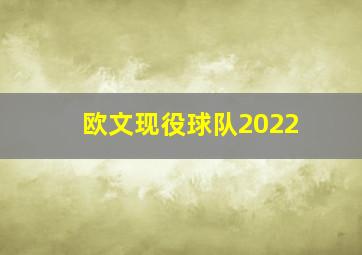 欧文现役球队2022