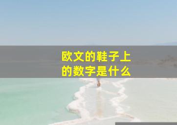 欧文的鞋子上的数字是什么