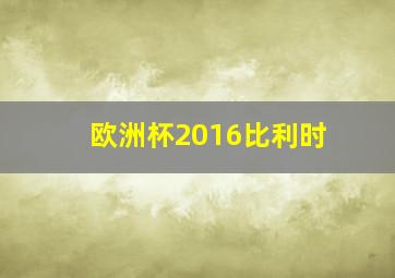 欧洲杯2016比利时