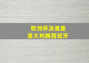 欧洲杯决赛是意大利踢西班牙