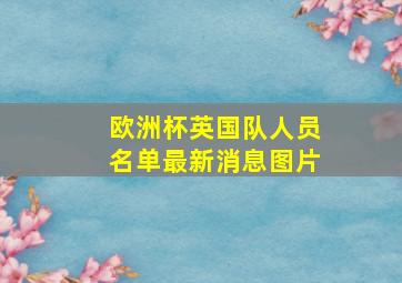 欧洲杯英国队人员名单最新消息图片