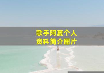 歌手阿夏个人资料简介图片