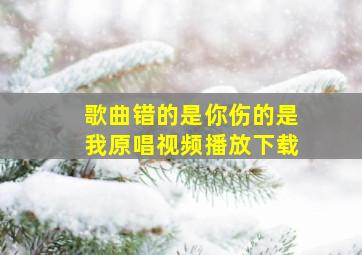 歌曲错的是你伤的是我原唱视频播放下载