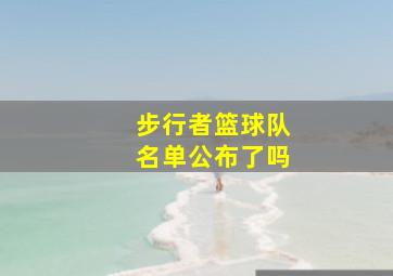 步行者篮球队名单公布了吗