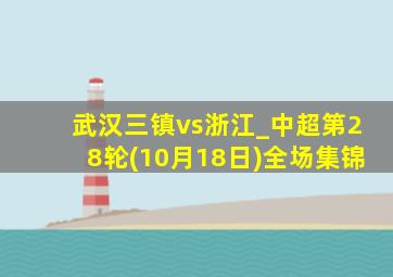 武汉三镇vs浙江_中超第28轮(10月18日)全场集锦