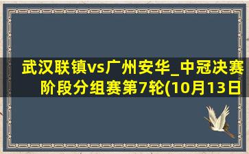 武汉联镇vs广州安华_中冠决赛阶段分组赛第7轮(10月13日)全场集锦