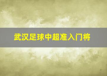 武汉足球中超准入门将