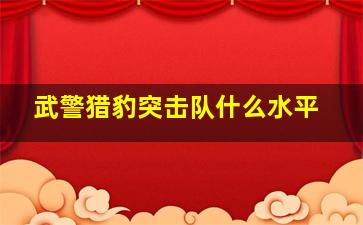 武警猎豹突击队什么水平