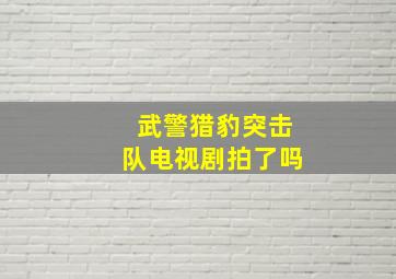 武警猎豹突击队电视剧拍了吗