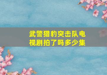 武警猎豹突击队电视剧拍了吗多少集