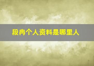 段冉个人资料是哪里人