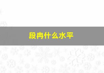 段冉什么水平