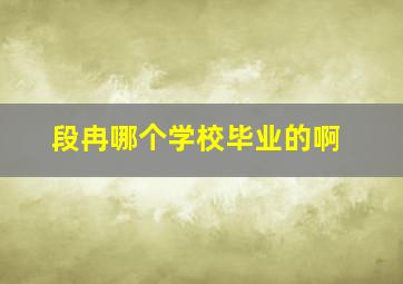 段冉哪个学校毕业的啊