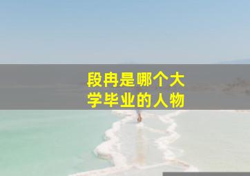 段冉是哪个大学毕业的人物