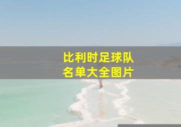 比利时足球队名单大全图片