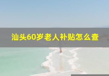 汕头60岁老人补贴怎么查