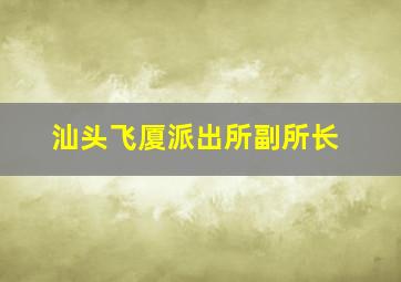 汕头飞厦派出所副所长