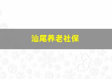 汕尾养老社保