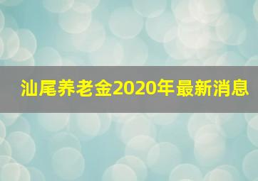 汕尾养老金2020年最新消息